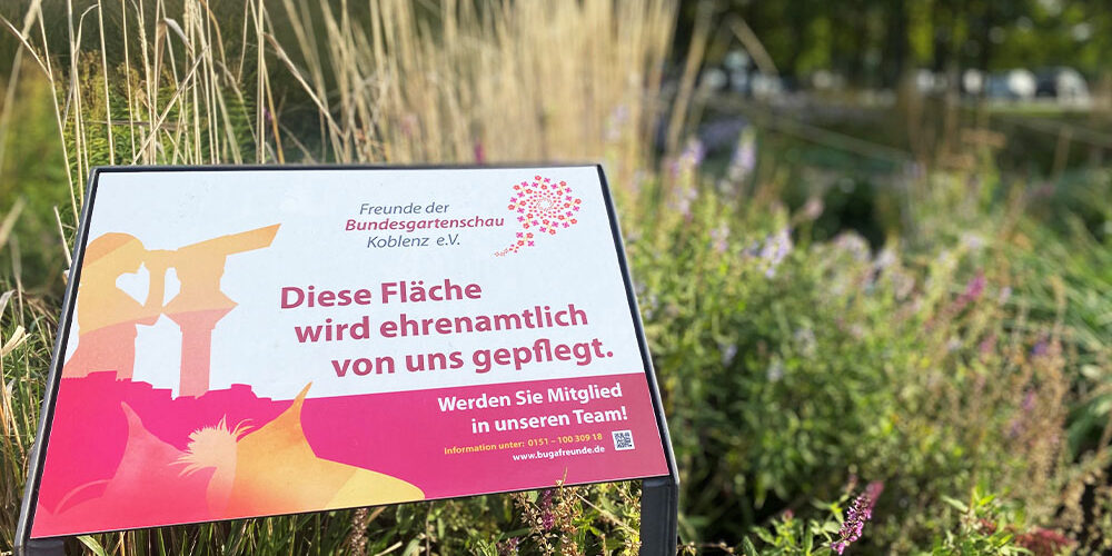 bugafreunde-staudenpflege-1